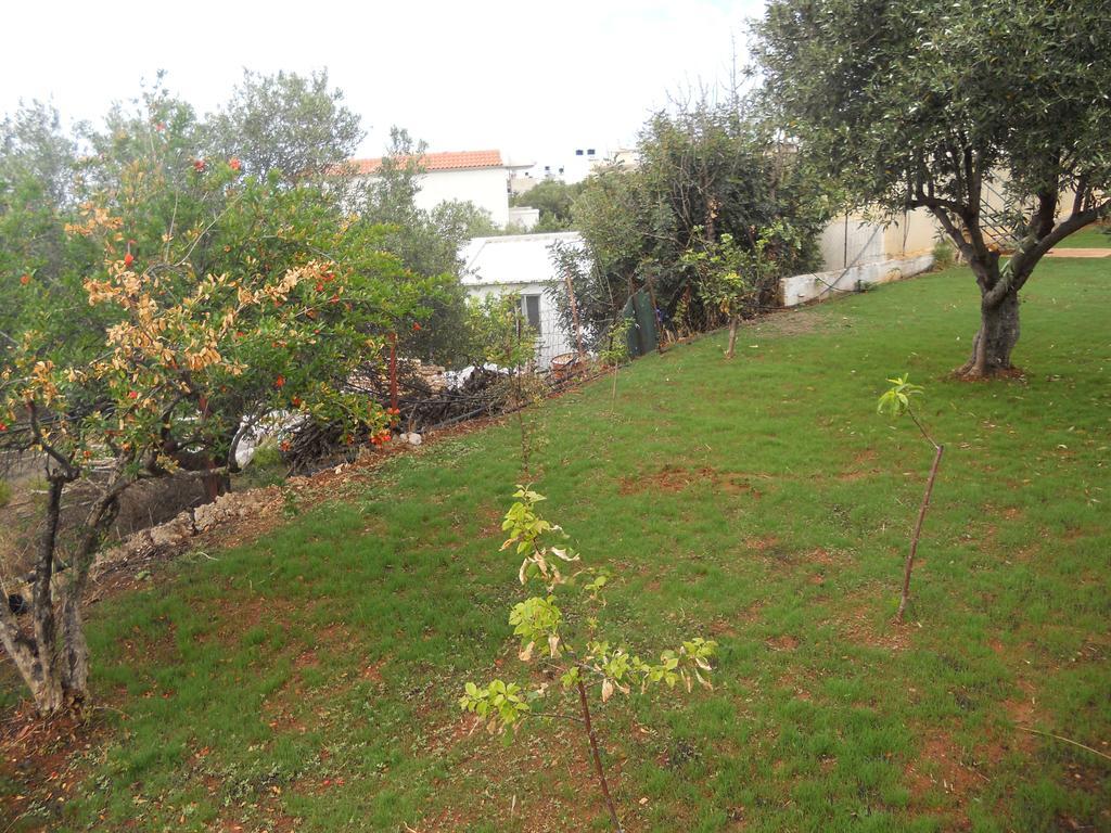 Aspri Petra Apartments Analipsi  Dış mekan fotoğraf